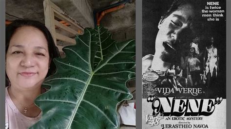 pinay teen nilabasan|Vida Verde's memorable times on the set of her bold movies.